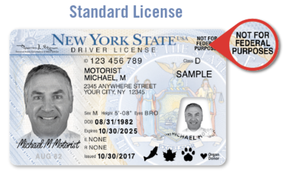 dmv non drivers license renewal form for ny